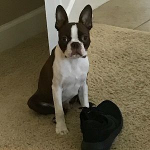 Meet your Posher, Tracy